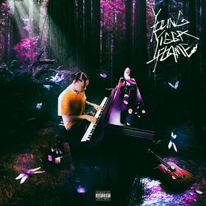 半糖动漫下载安装
