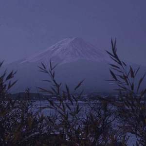 半糖动漫下载安装
