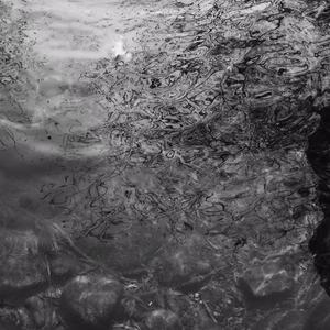 半糖动漫下载安装
